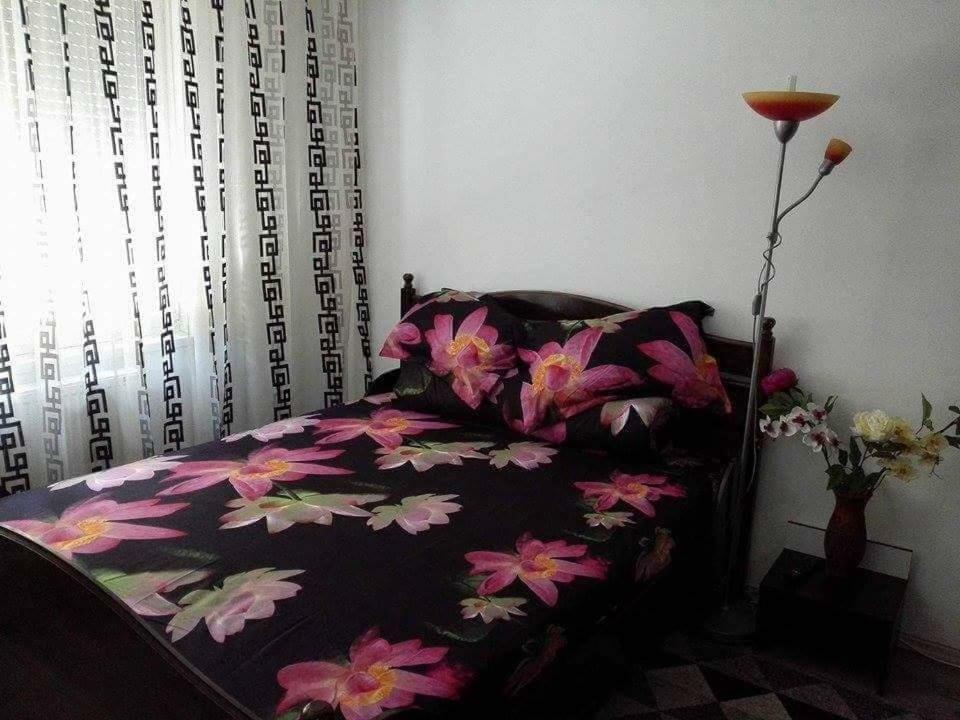 Ferienwohnung Apartament Ela Elegance Orşova Exterior foto